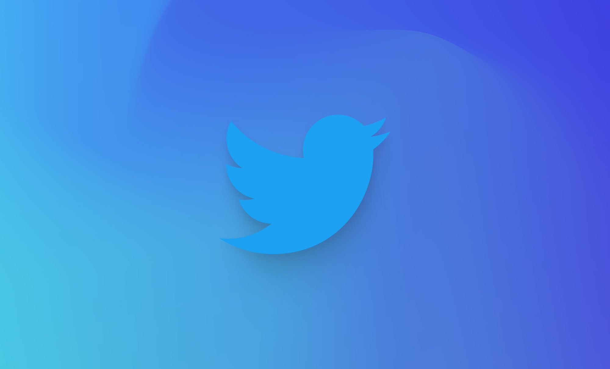 twitter bird png 2022