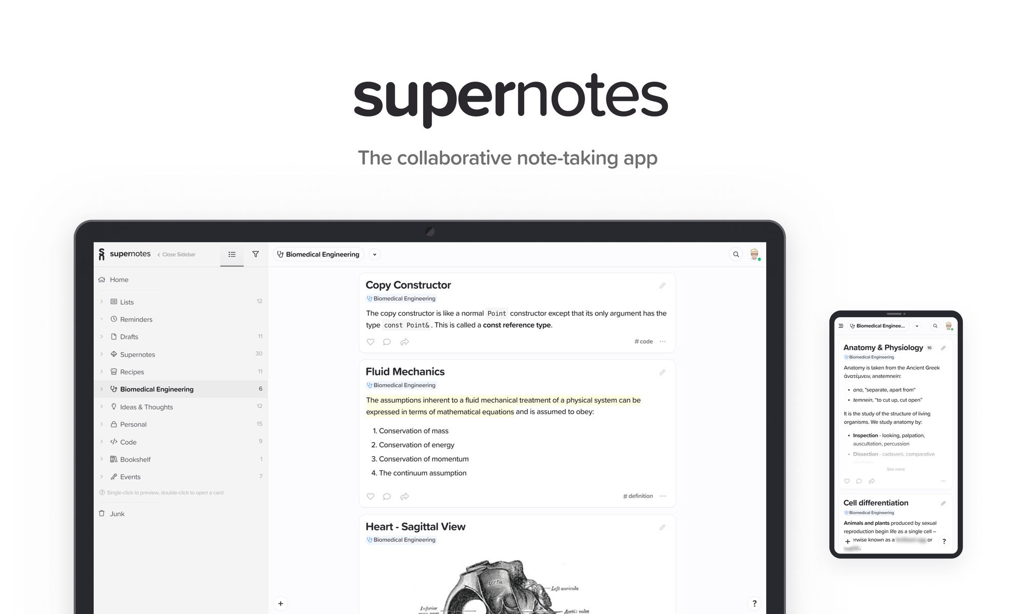 "Knowledge is like legos, let's build a new format around that" - An interview with Tobias Whetton (Supernotes)